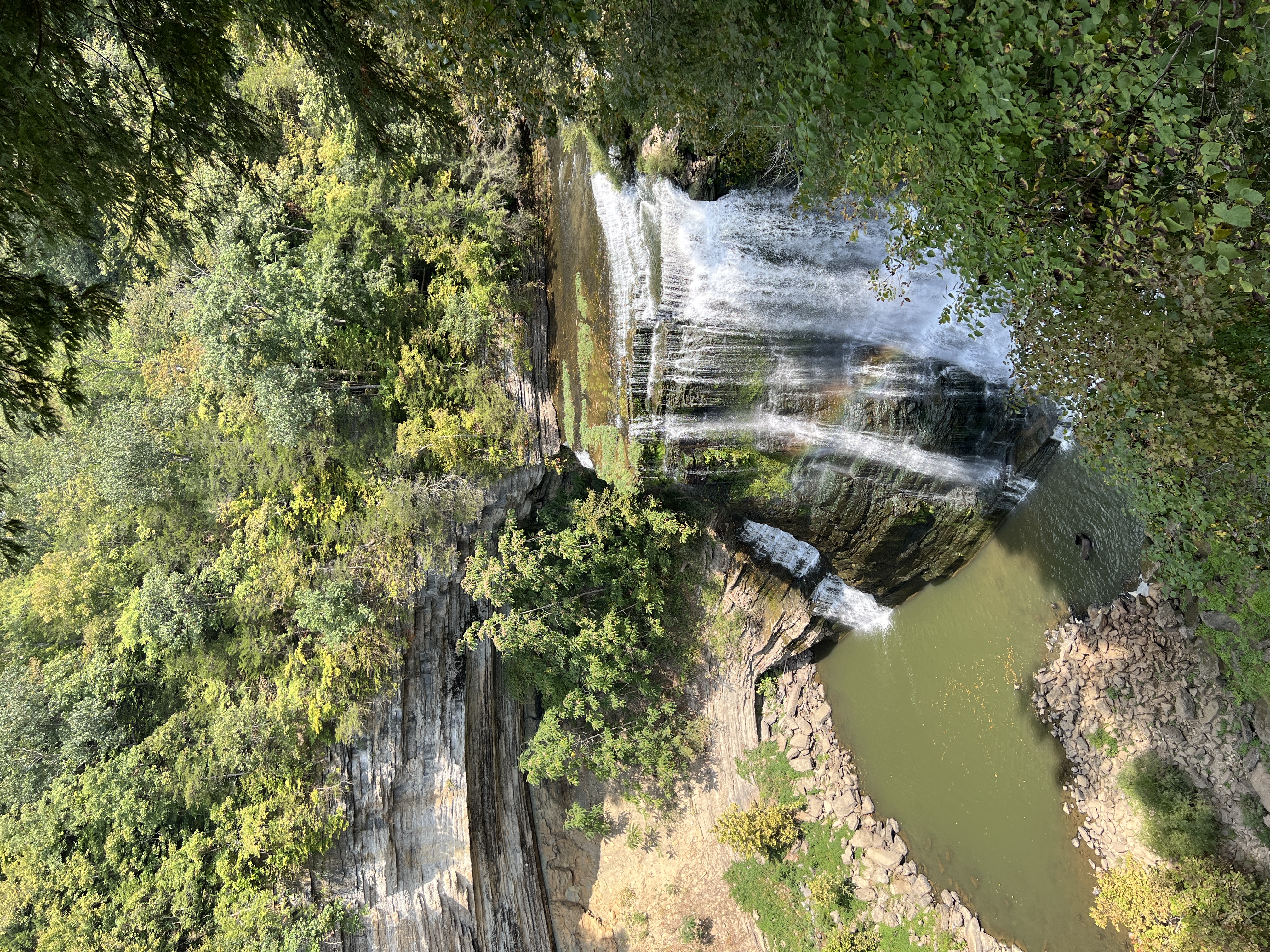 ./2025/11 - Nashville Trip/IMG_6786.JPG